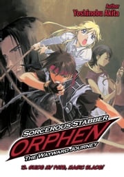Sorcerous Stabber Orphen: The Wayward Journey Volume 13 Yoshinobu Akita