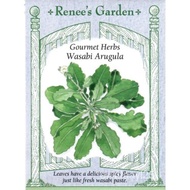 Wasabi  12Renee;Vegetable Seeds 039Arugula232023 /-- Garden #s&amp;