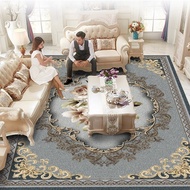 [2Ten Thousand People Collection]BIG European style carpet for living room ins Nordic Style Coffee T