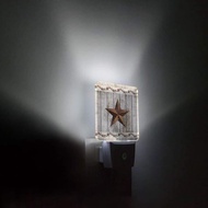 Night Light Plug in LED Lamp Automatic Sensor Night Lights Plug into Wall Western Texas Star Rustic 