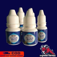 obat sakit mata domba garut