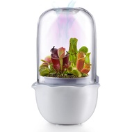 Venus Fly Trap Terrarium Pot with Timer Grow Light&Fan,Plant Terrarium kit for Moss&Cactus,Smart Pla