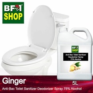 🧼🚽  (ABTSD) Ginger Anti Bacterial Toilet Sanitizer Deodorizer Spray - 75% Alcohol - 5L WC Seat ⭐⭐⭐⭐⭐