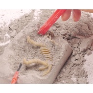 dinosour fossil Excavation fossil[NEW ITEM] DINOSOUR fossil excavation toy / archeology toy for chil
