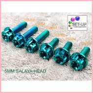 ✲ ☼ ◩ TITANIUM GR5 5MM BOLTS SALAYA HEAD