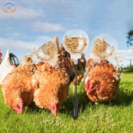 2 Pack Peck Toy Interactive Chicken Treat Dispenser Interesting Chicken Slow Feeder Toy Versatile Ch