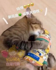 【台灣代購】✈️💗✨台灣手工製 🐱 純手工貓草包 【貓草 + 貓薄荷 + 木天蓼】 三種天然素材混合 💗(天然高濃度)貓草小枕頭/ 貓草三角糭/ 貓草魚仔款/ 貓草小抱枕/ 貓草大抱枕/ (選用日本/
