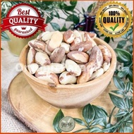 Brazilian Nuts Brazilian Nuts 100 grams natural