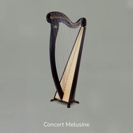 特惠價代購法國豎琴 Camac Lever Harp 一手豎琴 二手豎琴 40 弦豎琴 40 strings (Concert Melusine)