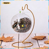 [tdraoylp] Banana Holder, Metal Banana Hook, Fruit Stand, Banana Tree Holder, Iron, Tidy