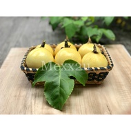 ( L size ) Panama Golden Rose Passion Fruit  ( 1kg ~ 3kg ) ( direct from farm )