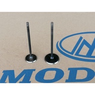 Valve Intake / Valve Exhaust D400 Dominar400