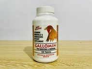 COMBO GALLOMIN B15-B12 - Thuố.c nuôi Mỹ cho gà tơ gà chế độ đá