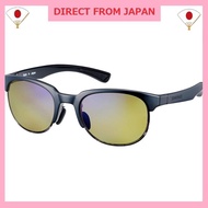 SWANS (スワンズ) Japanese-made sports sunglasses ER-2 (for golf, driving, fishing, and outdoor activitie