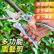 Gardening Shears SIN6962 Fruit Tree Shears Flower Branch Shears Thick Branch Shears Branch Shears Pr