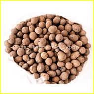 ♞Hydroton Clay Pebbles 1kg