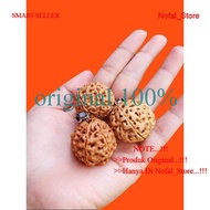 Jenitri Rudraksha Liontin Besar Jumbo