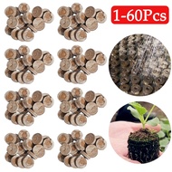 30mm Seedling Germination Soil Blocks Seedling Nutrient Blocks Compressed Peat Soil Pellets For Plan