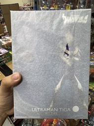 alphamax Ultraman Tiga Sky Type 超人迪加 空中形態