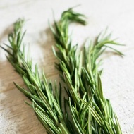 【迷迭香】_香草香料