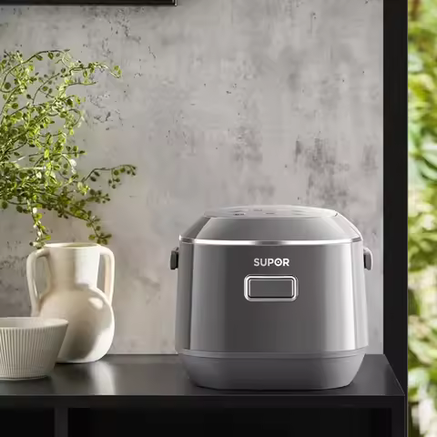 DK138: 2L Mini Rice Cooker, Stainless Steel NonCoating Pot, Compact Electric Cooker for 12 People, M