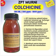 ZPT Colchicine zat hormon pengatur tumbuh tanaman pengganda kromosom menjadi raksasa dan memperbanya