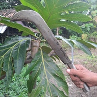 Arit Golok Kayu Asli Per Baja - Bendo Arit Besar Babat Rumput Semak Belukar