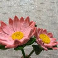 Giant Lotus - Giant flower - Jumbo Lotus flower - Lotus