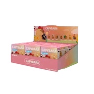 Capybara Water Vole Blind Box 2024 New Girl Primary School Student Gift Buddha Style Toys Resin Mate