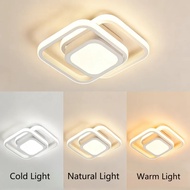 Modern 3-Color LED Ceiling Light LED Aisle Ceiling Lights 48W 260V