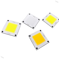 50W 40X40mm LED Light Chip COB Integrated LED Lamp Beads DIY Floodlight Spotlight Bulb