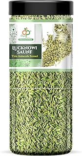 Organic Purify Thin Aniseed (Lucknowi Vilayati Saunf) 500 gms Fennel Seeds |Green Fennel Seeds [Jar