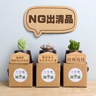 【NG品】小山木盆-多肉植物 附紙盒 婚禮 生日 聖誕 畢業 送禮物
