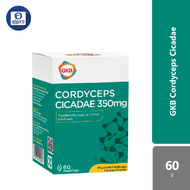 GKB Cordyceps Cicadae 60s