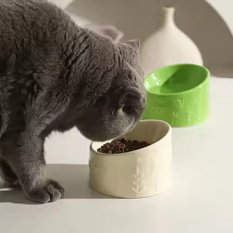 Ceramic Cat Bowl Drinking Bowl Cat Rice Bowl Oblique Mouth Anti Dark Chin Pet Bowl Dog Bowl Dog Food