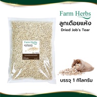 ลูกเดือยแห้ง Dried Jobs tears ตราฟาร์มเฮิร์บ  ขนาด 1 กิโลกรัม