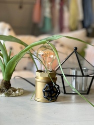 曙MUSE 限定款手輪黃銅調光水管桌燈 LED燈 鎢絲燈泡  擺飾