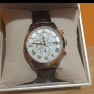 Authentic Solvil Titus Automatic Watch (Brown)