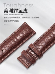 Princess Danling Leather Watch With American Crocodile Leather Men's And Women's Watch Chain Substitute Dw Tissot Longines Omega King