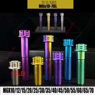 TC4/GR5 M8-90L Titanium Alloy Flange Head Torx Screw Bolts M8 Motorcycle Titanium Alloy Screw
