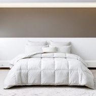 HIghland Feather - 加拿大超輕柔白鵝羽絨四季被 天絲有機棉被被殼 - 單人