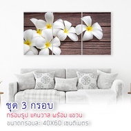 JM Frame รูปติดผนัง ภาพดอกลีลาวดี ภาพสร้างแรงบันดาลใจ ปรับบรรยากาศ ภาพพิมพ์ แคนวาสแท้ กรอบรูปติดผนัง