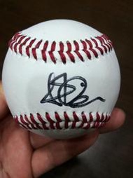 [J.K 收藏館 ] MLB響尾蛇總冠軍全明星.金手套 2548安304轟 Steve Finley 簽於真皮空白球!