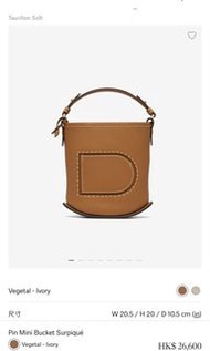 Delvaux pin mini bucket
