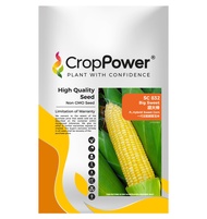(500g) Benih Jagung Manis Sweetcorn Big Sweet SC832