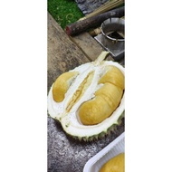 🌳fresh frozen durian black thorn isi sahaja /only penang Island🤩