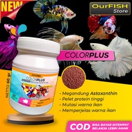 Ourfish Betta Pellet Colorplus 60 Grams | Betta Fish Feed Pellets Blue Rim Avatar Halfmoon Galaxy Gi