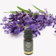 真正/高地薰衣草精油 LAVENDER