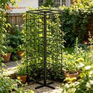[Gamchiano] Adjustable Metal Dragon Fruit Trellis Sturdy Plant Support for Climbing Plant Indoor Out