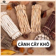 Dried tree branches, natural decorative dried branches used for decor, decorations, exquisite crafts